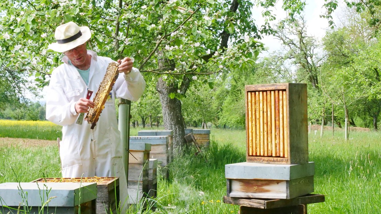 Imker beim Arbeiten