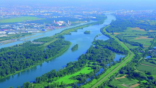 Der Rhein am Kulturwehr Kehl