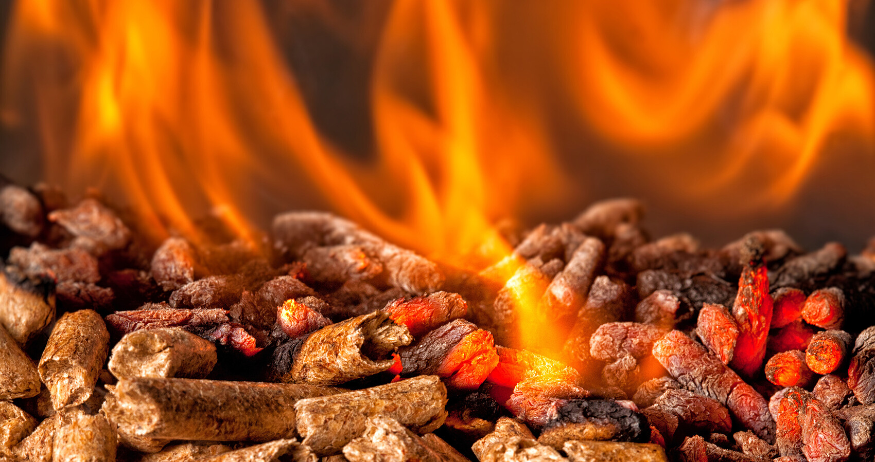 Das Bild zeigt brennende Holzpellets mit orangeroter Flamme